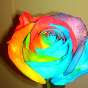 Meet your Posher, Lakisha